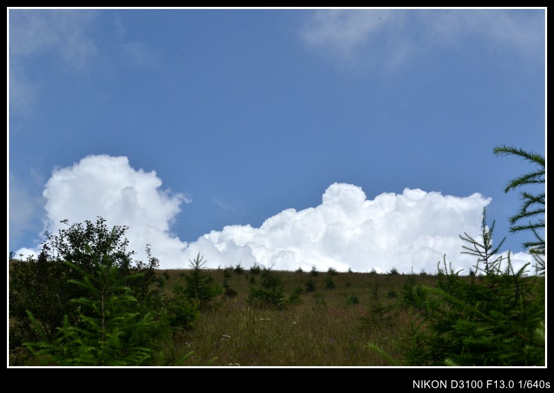 20128247533491847.jpg