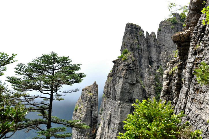 ũ (11).723x481.277.0k.jpg