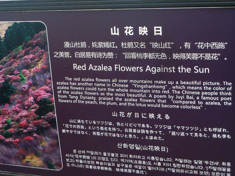 p1120244_.jpg