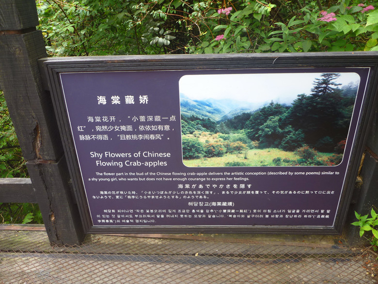 p1120250_.jpg