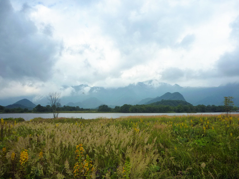 p1120390_.jpg