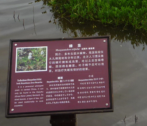 p1120397_.jpg