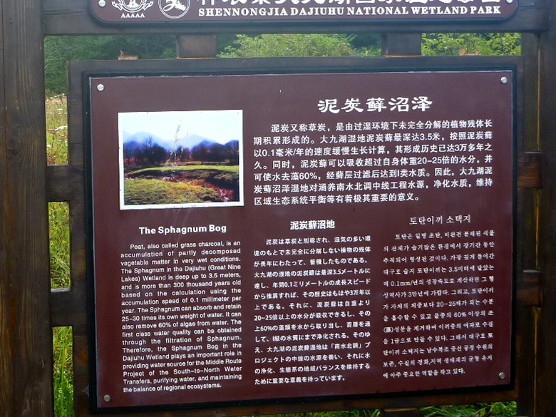 p1120399_.jpg