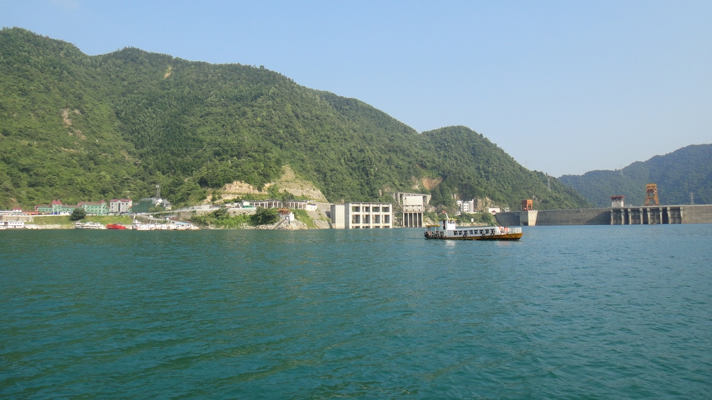 dsc01347.jpg