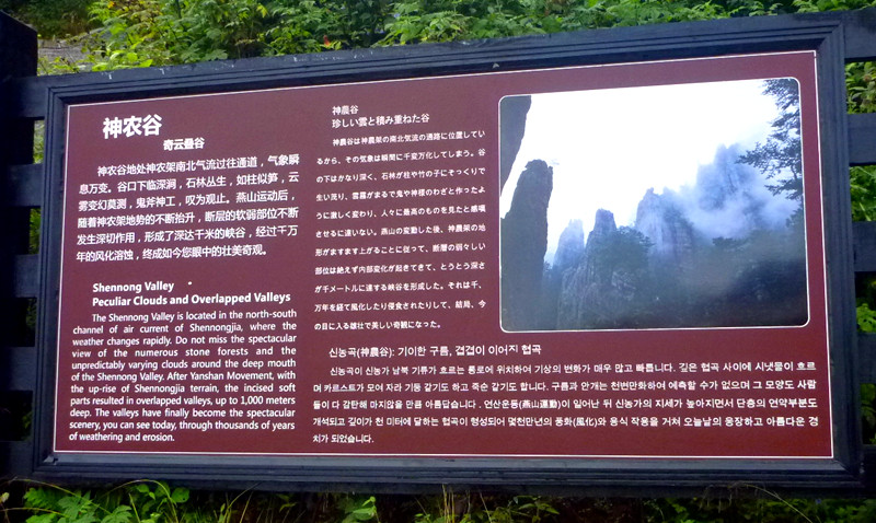 p1120426_.jpg