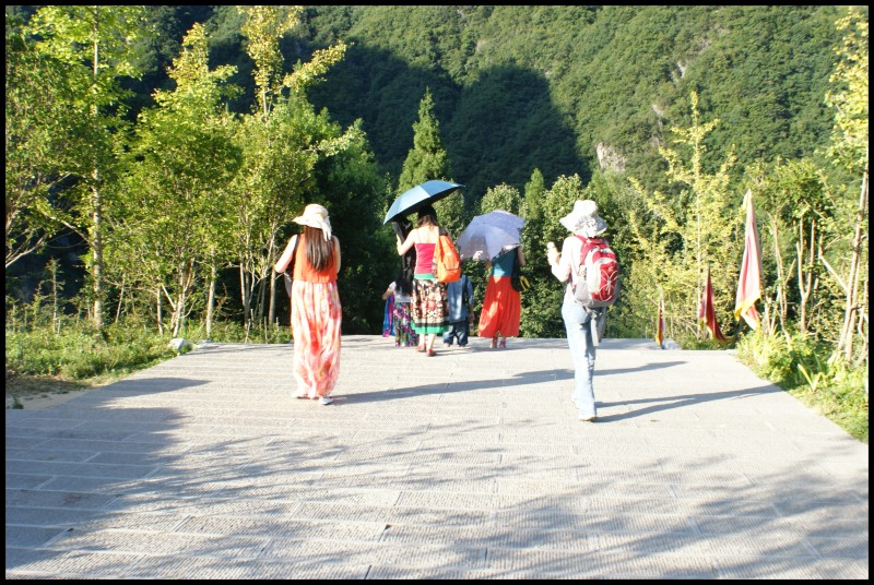 conew_dsc00952.jpg