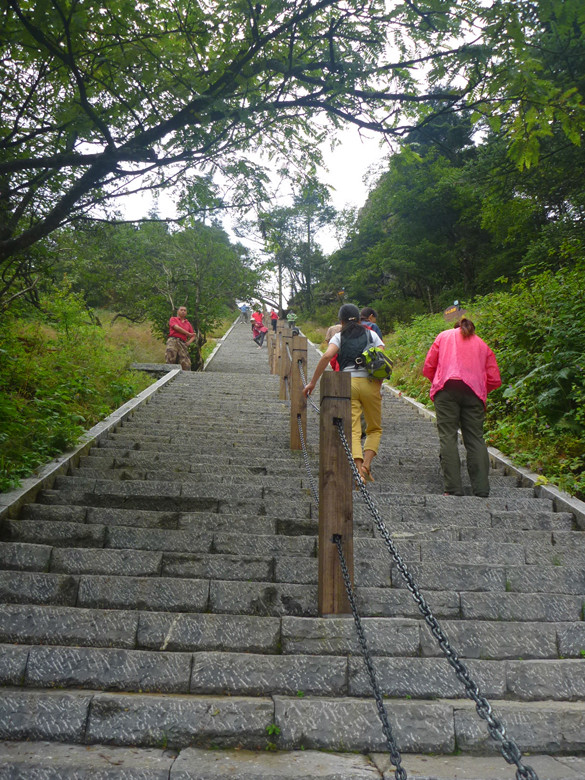 p1120428_.jpg