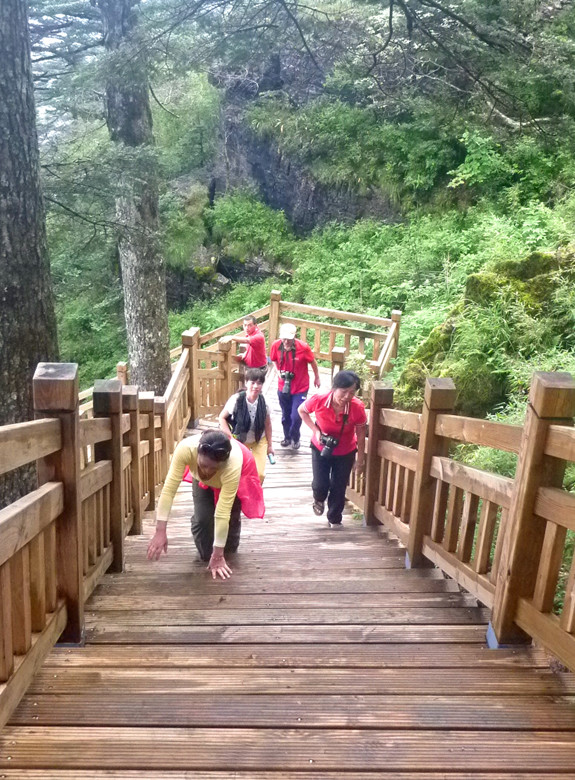 p1120492_.jpg