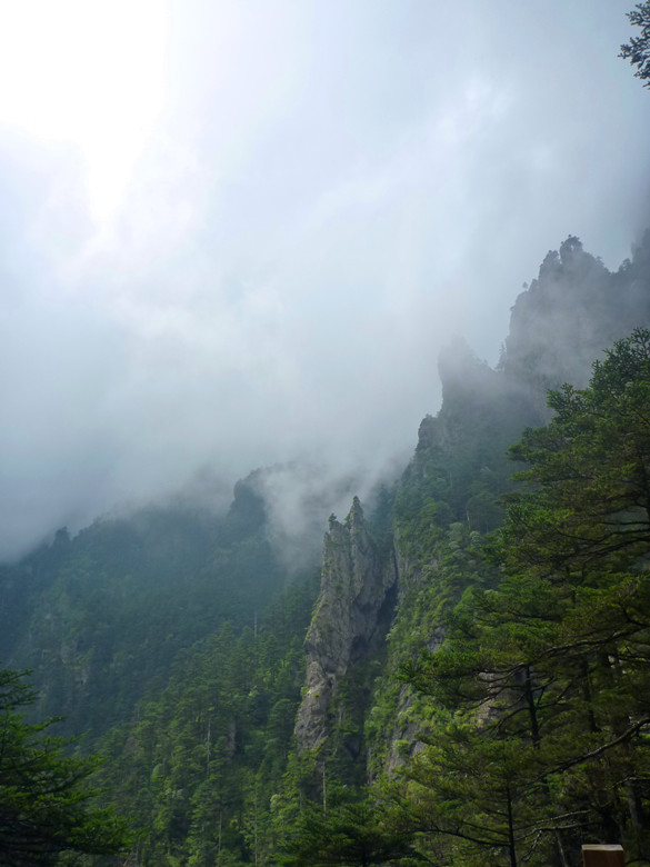 p1120464_.jpg