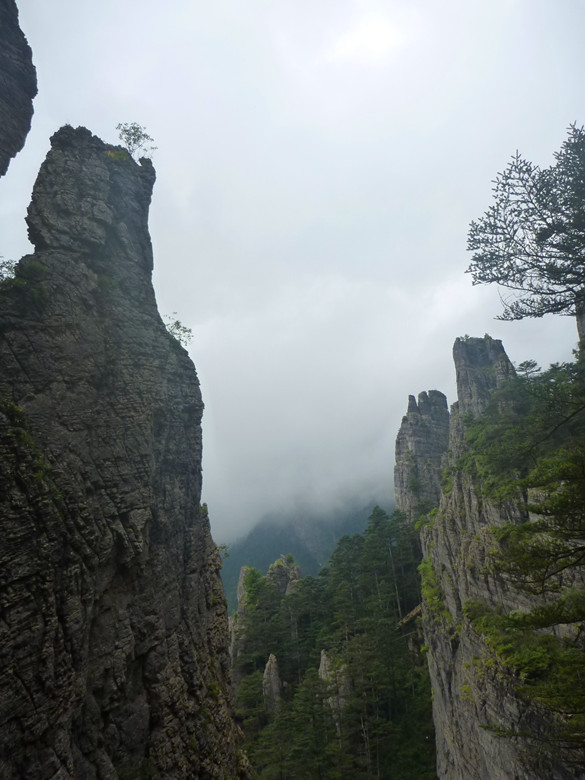 p1120483_.jpg