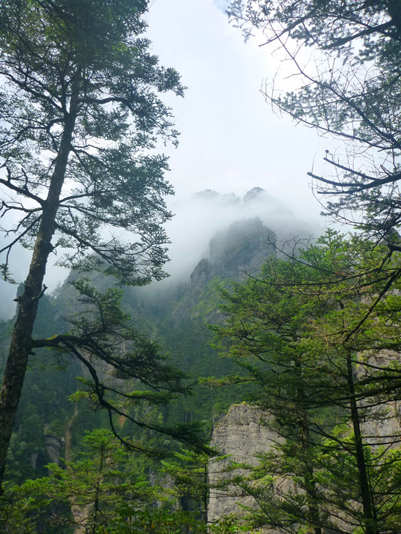p1120471_.jpg