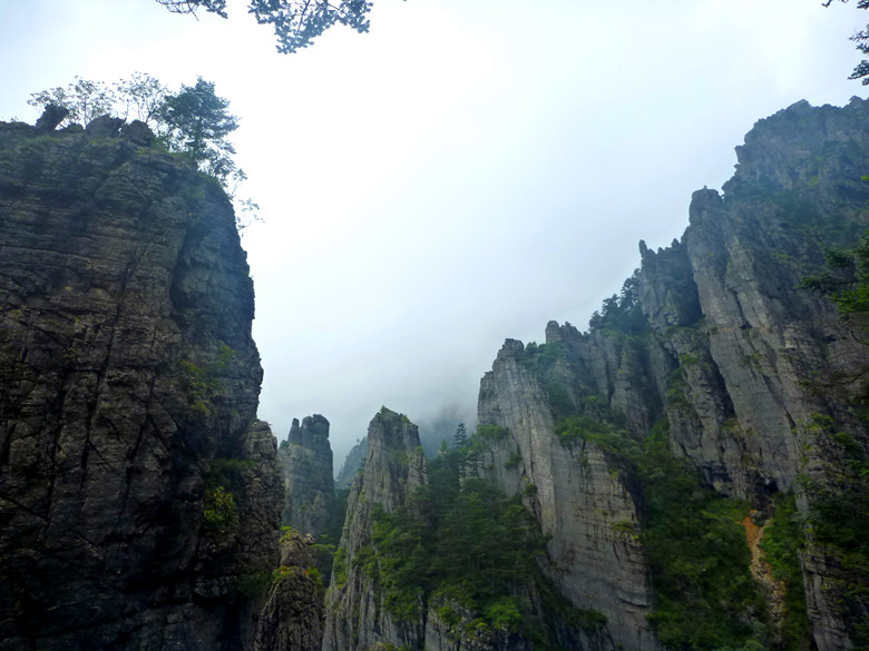 p1120489_.jpg