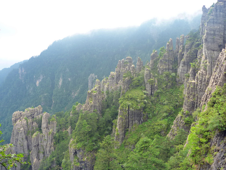 p1120490_.jpg