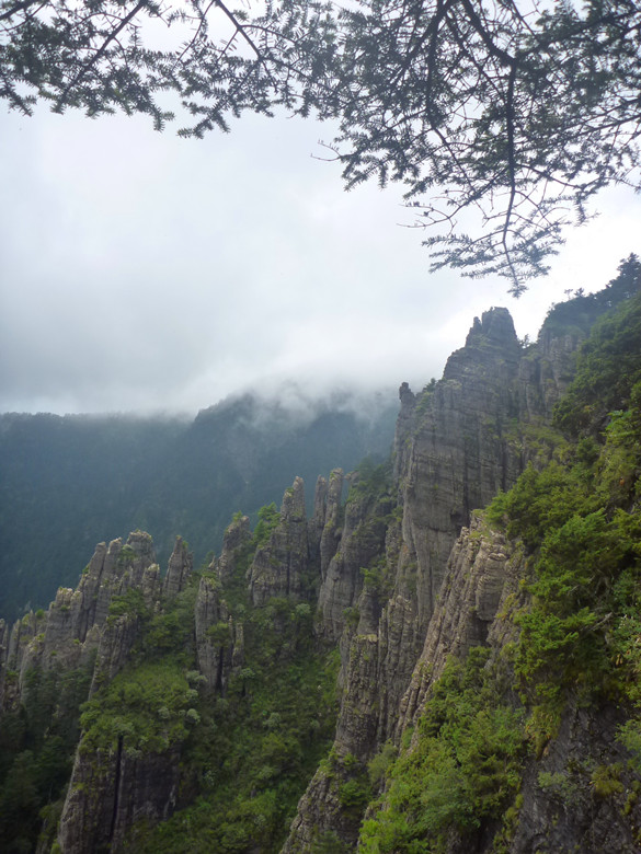 p1120491_.jpg