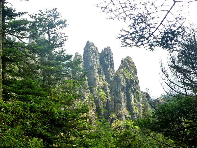 p1120455_.jpg