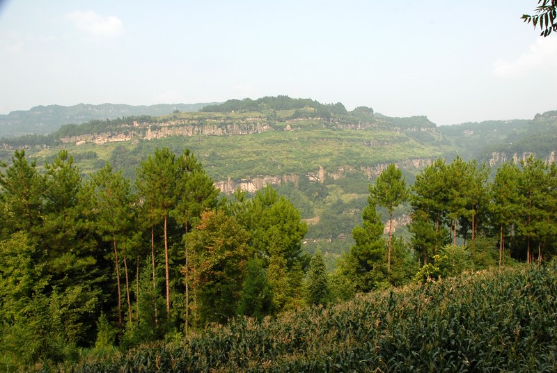 dsc_0230.jpg