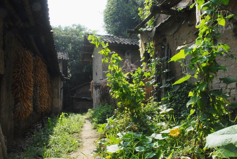 dsc_0646.jpg