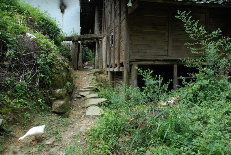 dsc_0704.jpg