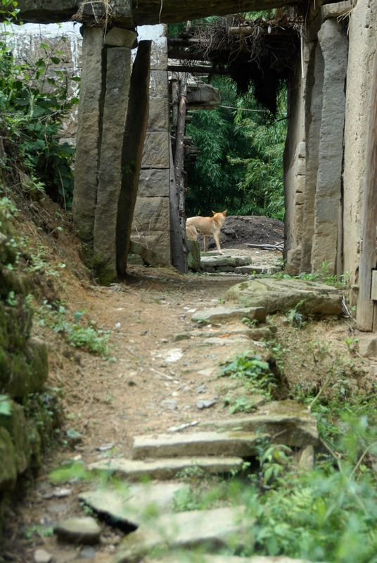 dsc_0706.jpg