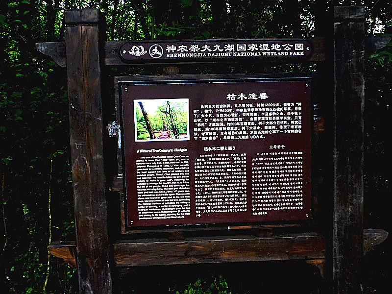 p1120359_.jpg