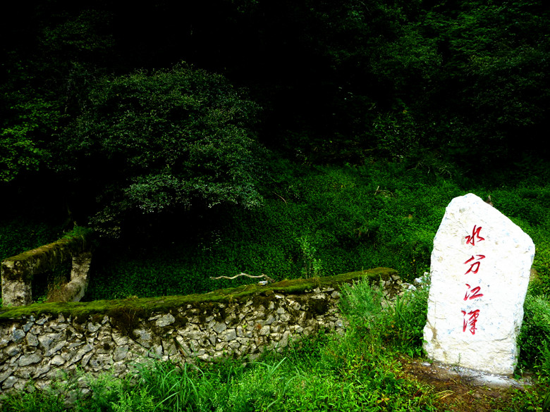 p1120361_.jpg