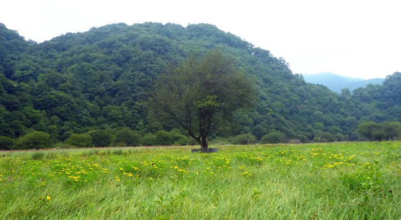 p1120370_.jpg
