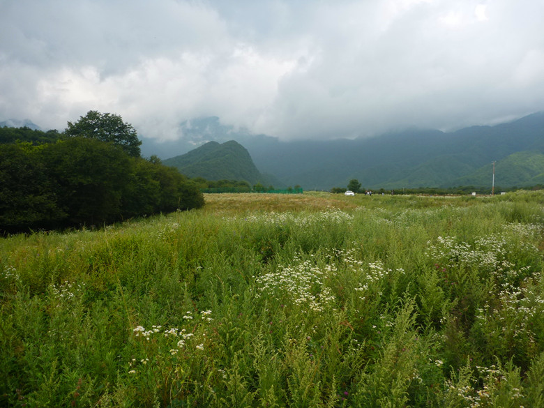 p1120376_.jpg
