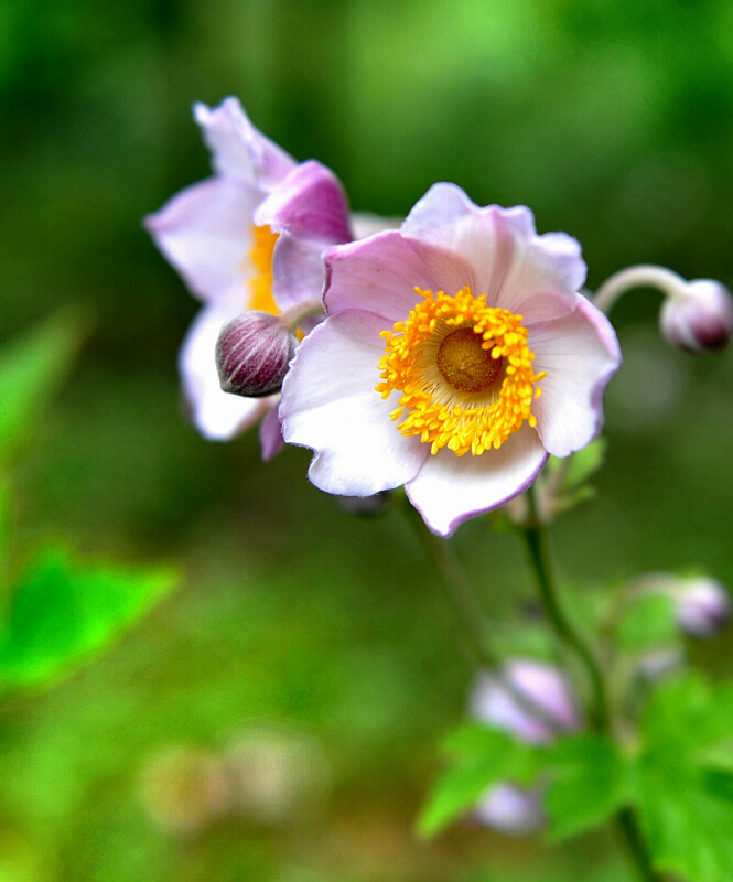0 (2).665x800.254.4k.jpg