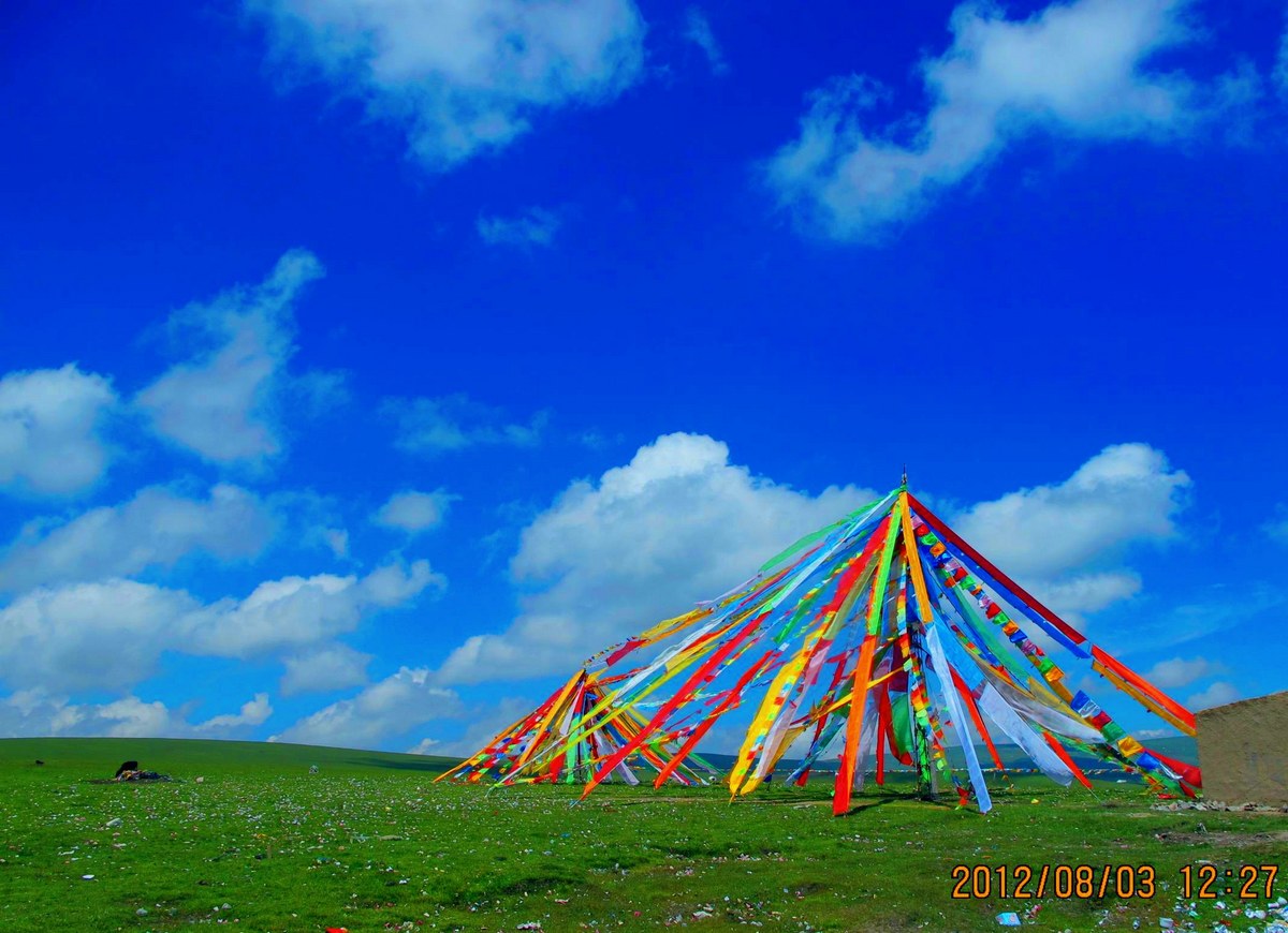 img_3778_conew2.jpg