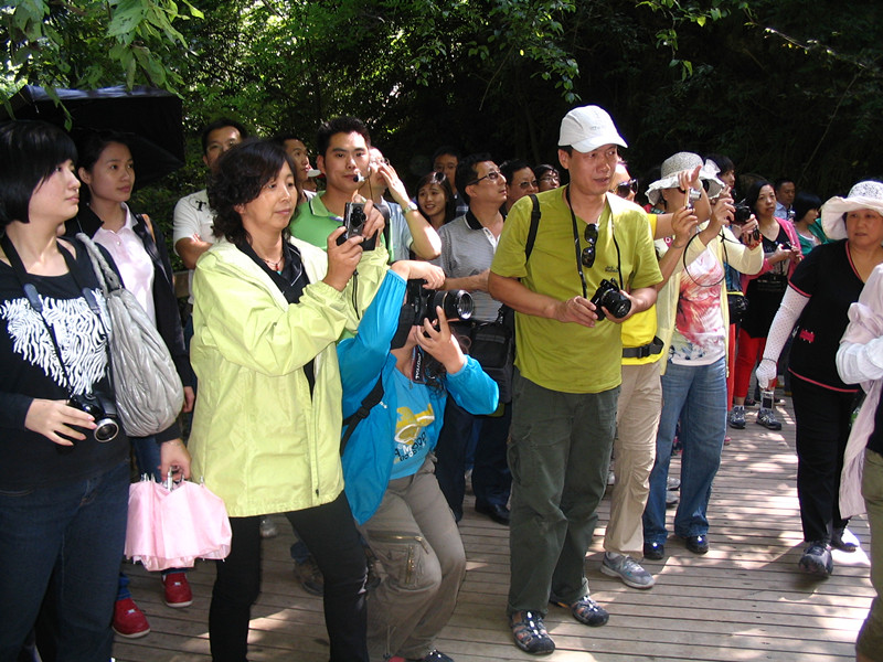 2012.8 291.jpg