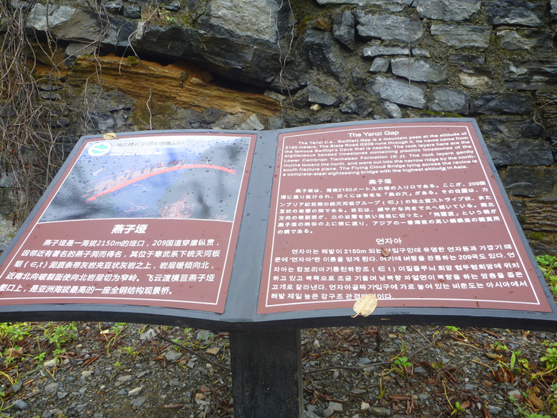 p1120570_.jpg