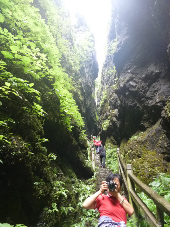 p1120582_.jpg