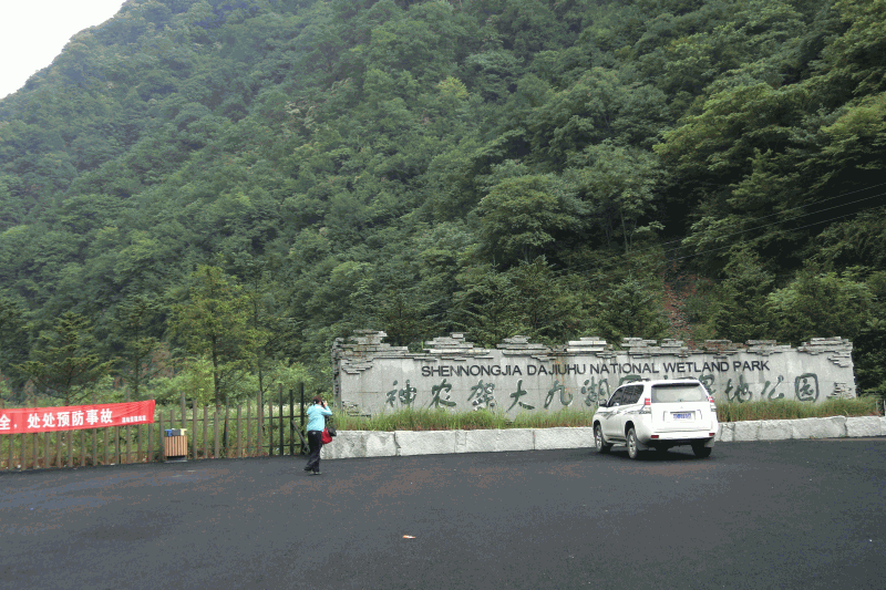 dsc00483.gif