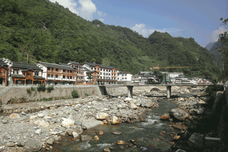 dsc00493.gif
