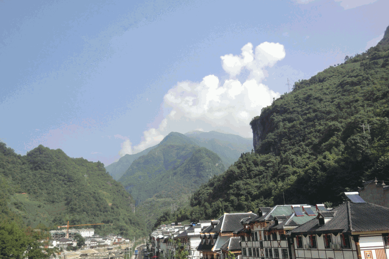 dsc00506.gif
