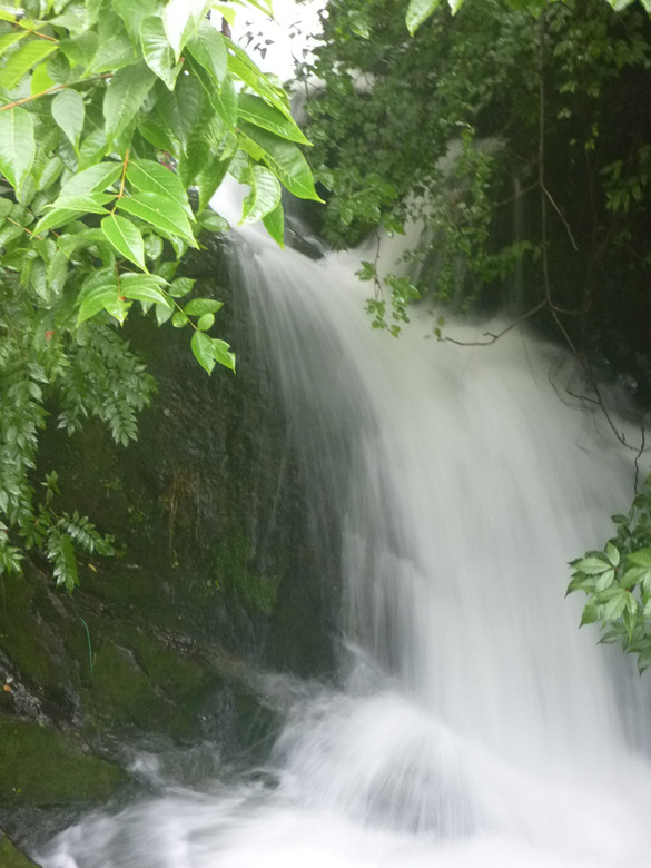 p1120549_.jpg