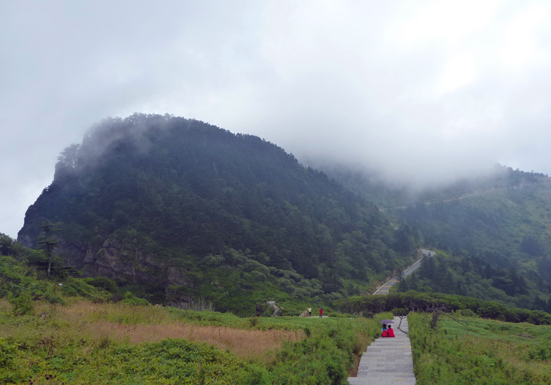 p1120510_.jpg