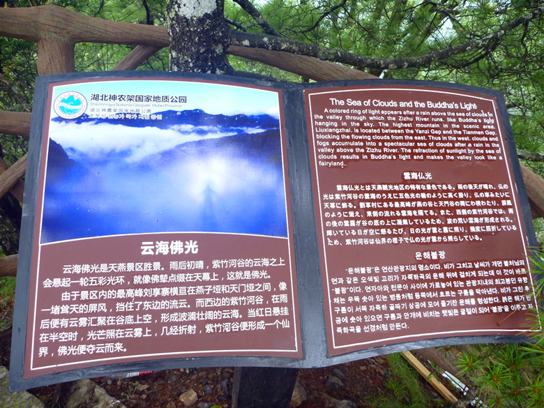 p1120568_.jpg
