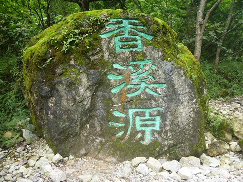 p1120636_.jpg