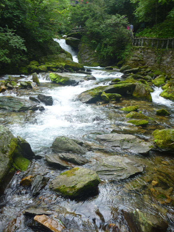 p1120628_.jpg