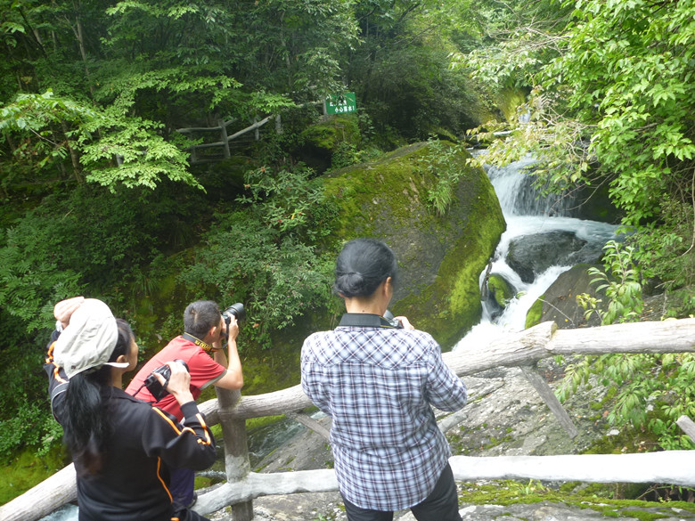 p1120632_.jpg
