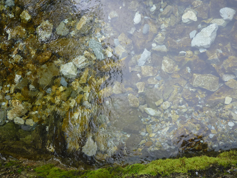 p1120634_.jpg