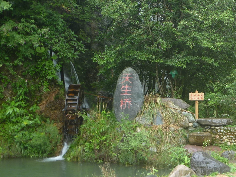 p1120645_.jpg