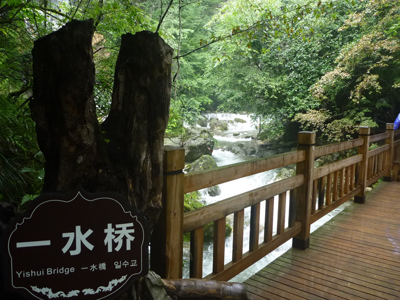 p1120646_.jpg