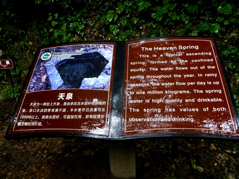 p1120662_.jpg