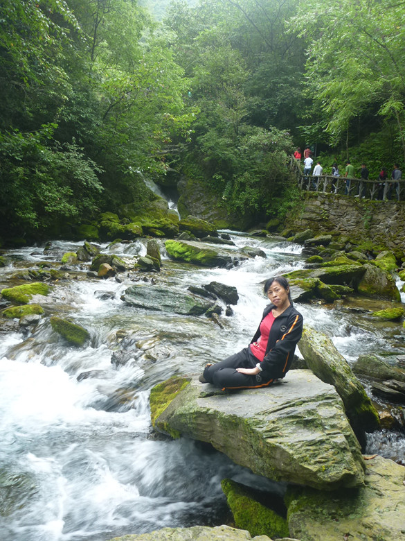 p1120627_.jpg