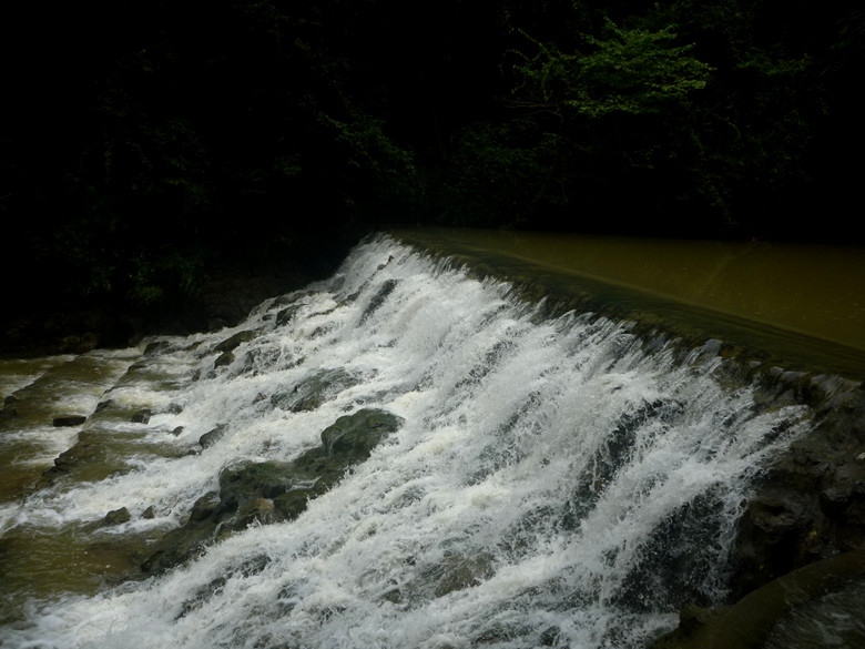 p1120690_.jpg