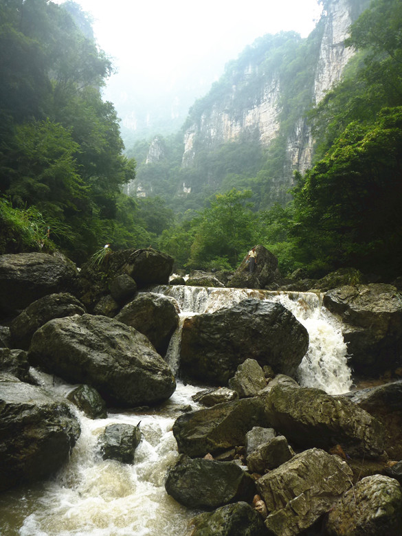 p1120699_.jpg