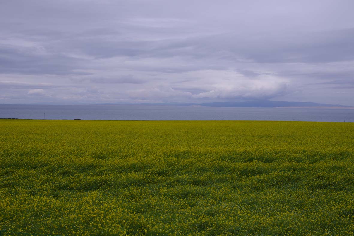 imgp0904.jpg