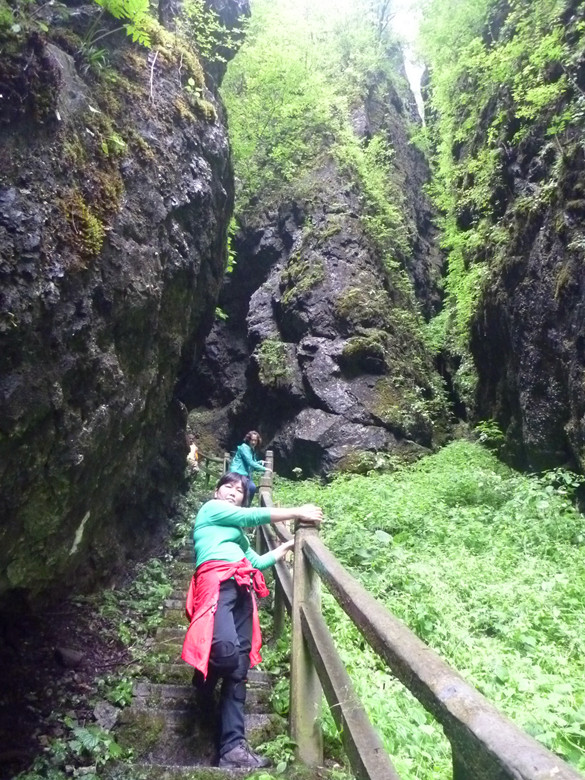 p1120590_.jpg